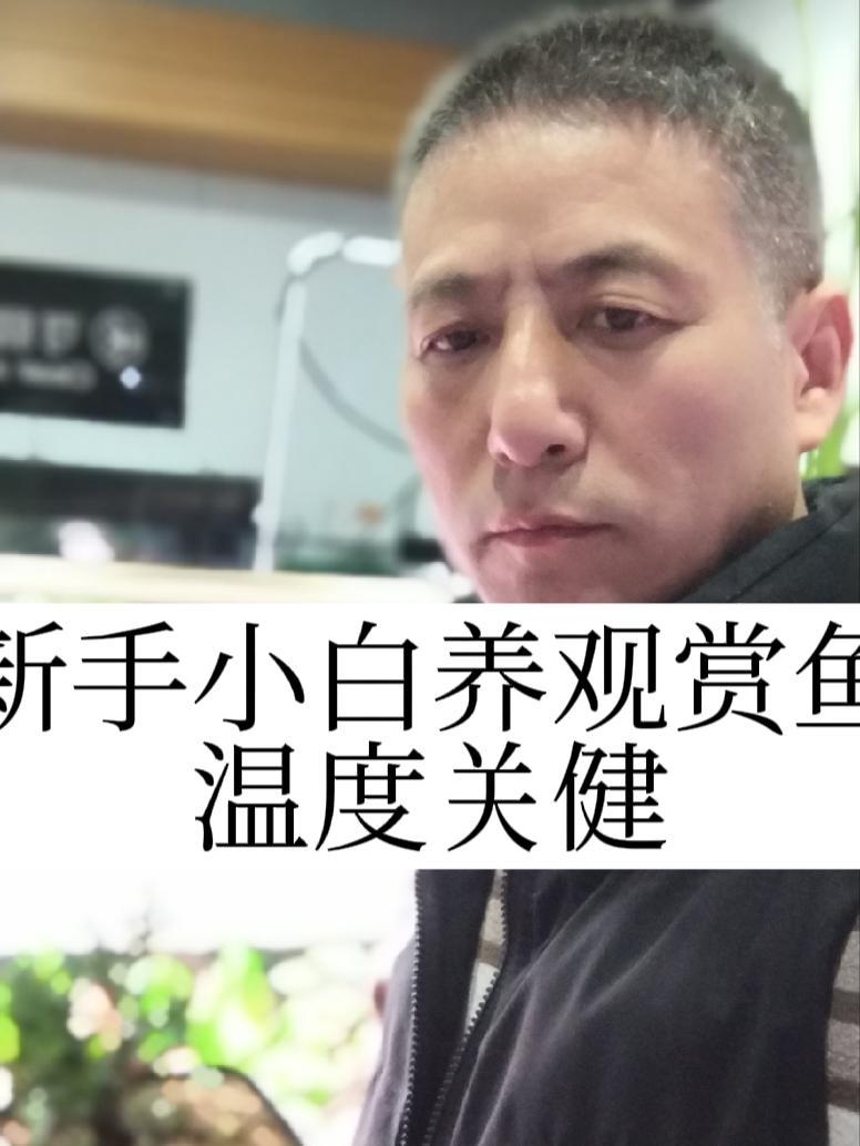 观赏鱼养不好,你的鱼缸水温设定合适吗?养鱼日记 养鱼经验分享 鱼闻天下