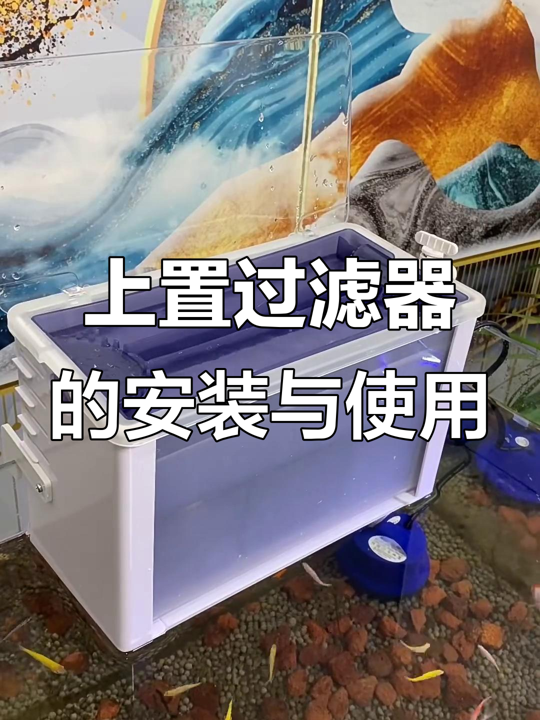 挂壁式过滤器让鱼缸水质更清新,静音设计让你安心
