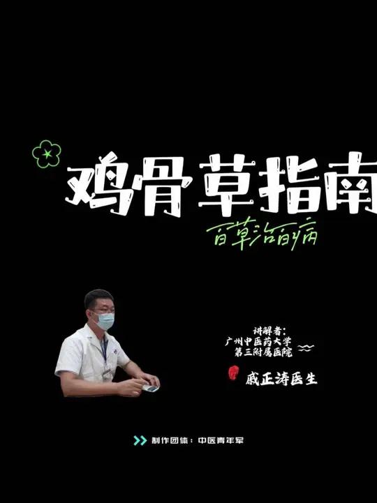 清热解毒利湿退黄的鸡骨草