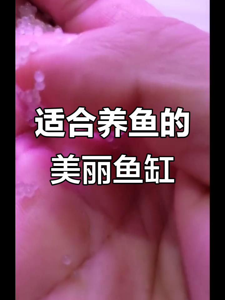 石家庄栾城森森水族:红花碧海与高雁共舞,鱼缸美景尽显