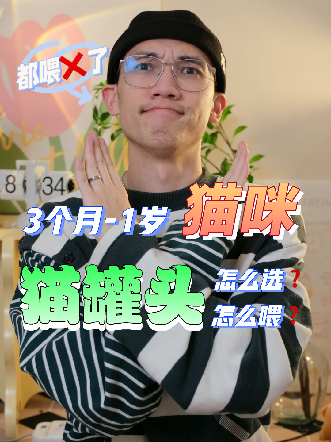 3个月-1岁猫咪猫罐头正确喂法