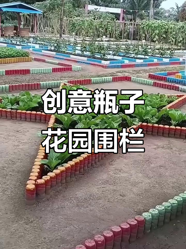 废旧塑料瓶变菜园围栏,环保又美观