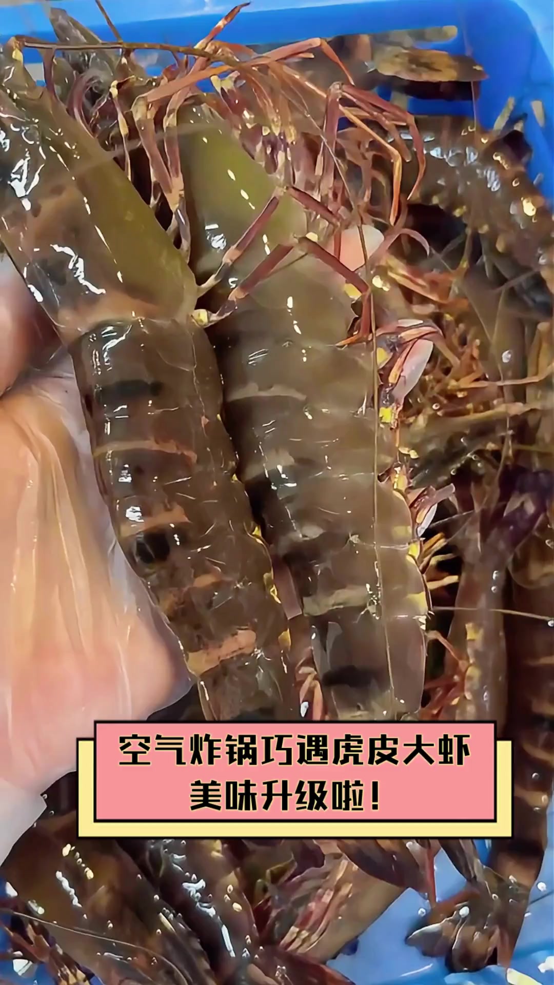 空气炸锅巧遇虎皮大虾,美味升级啦!