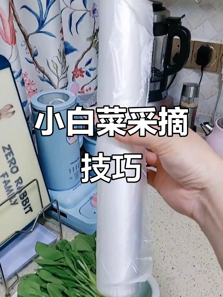南京小青菜秧价格飙升,教你快速摘菜技巧