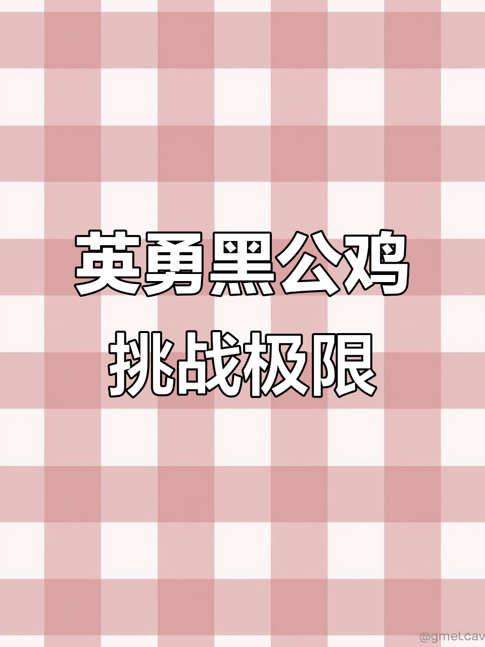 公鸡中的战斗机,大冠黑公鸡勇斗全场