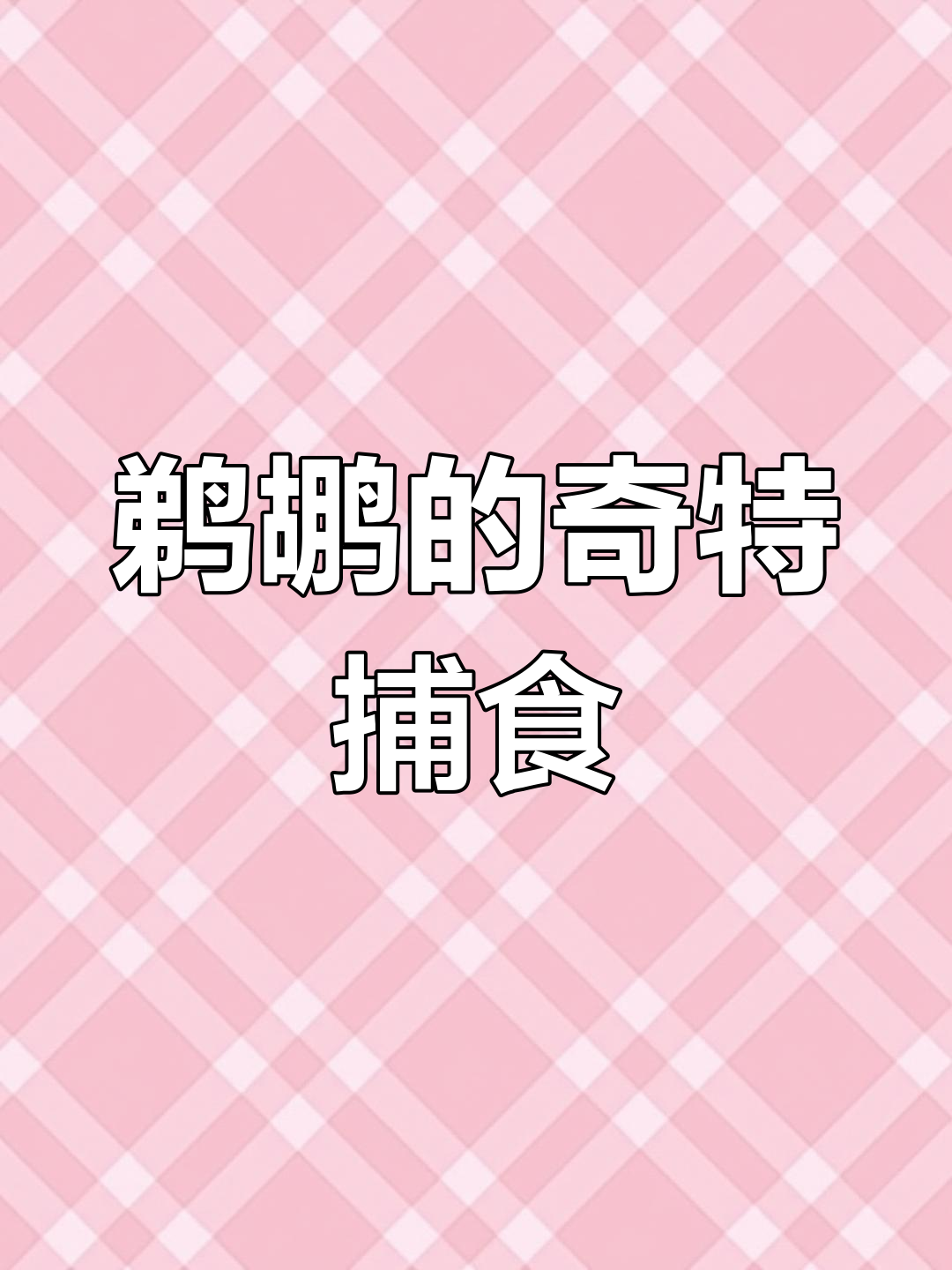 鹈鹕捕鱼时,肚子里会不会灌满风?网友调侃它“自带吸管”