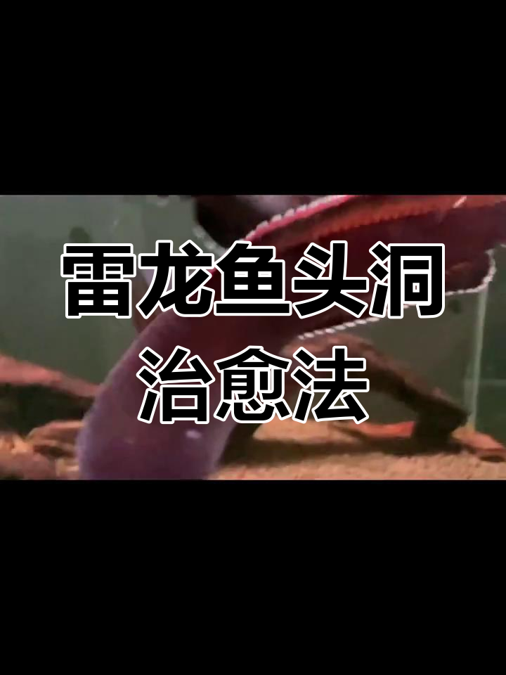 雷龙鱼头洞治疗全攻略,轻松恢复健康