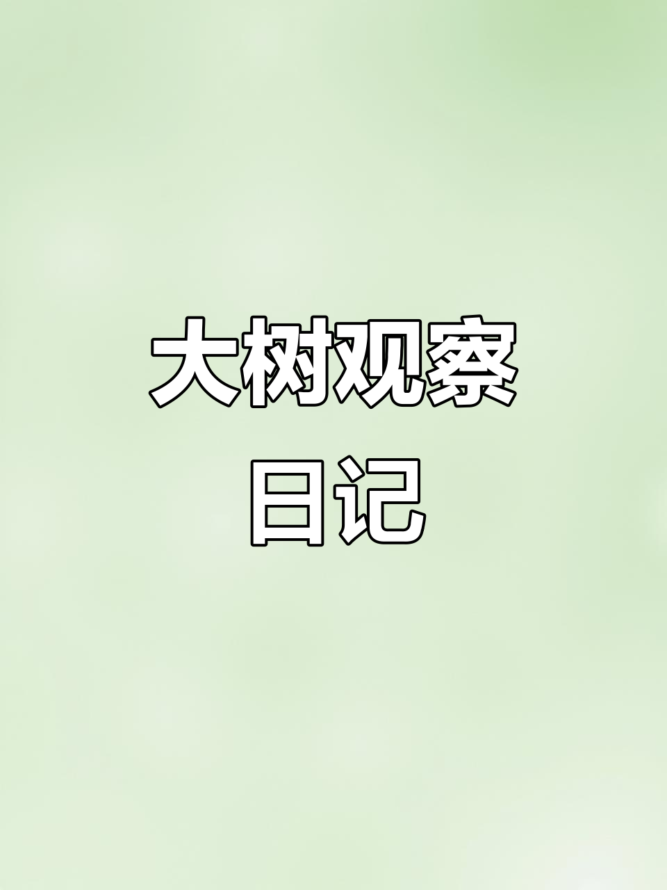 幼儿园大树调查:我记录了大树的成长与变化