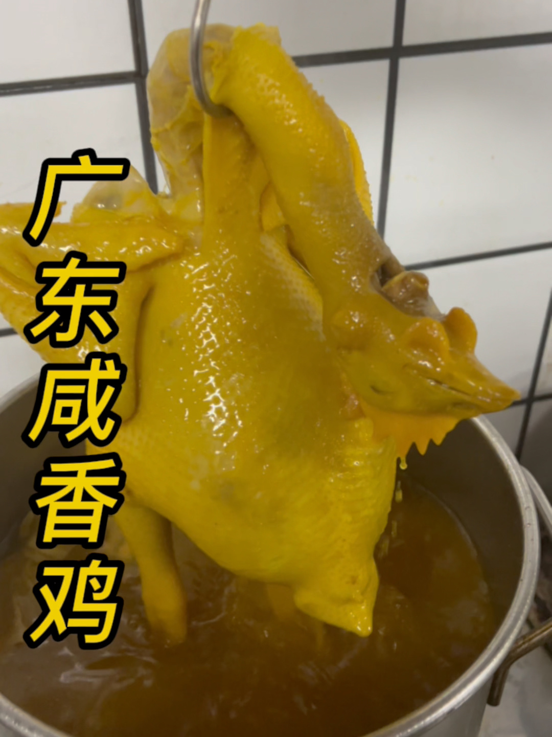 广东咸香鸡