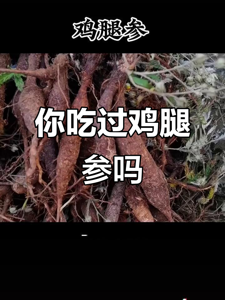 鸡腿参:小时候的零食,现在难寻的美味