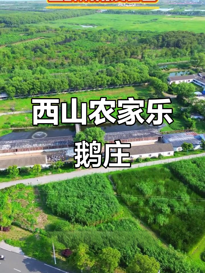 苏州西山湖畔的农家乐鹅庄,鲜甜美味等你来尝