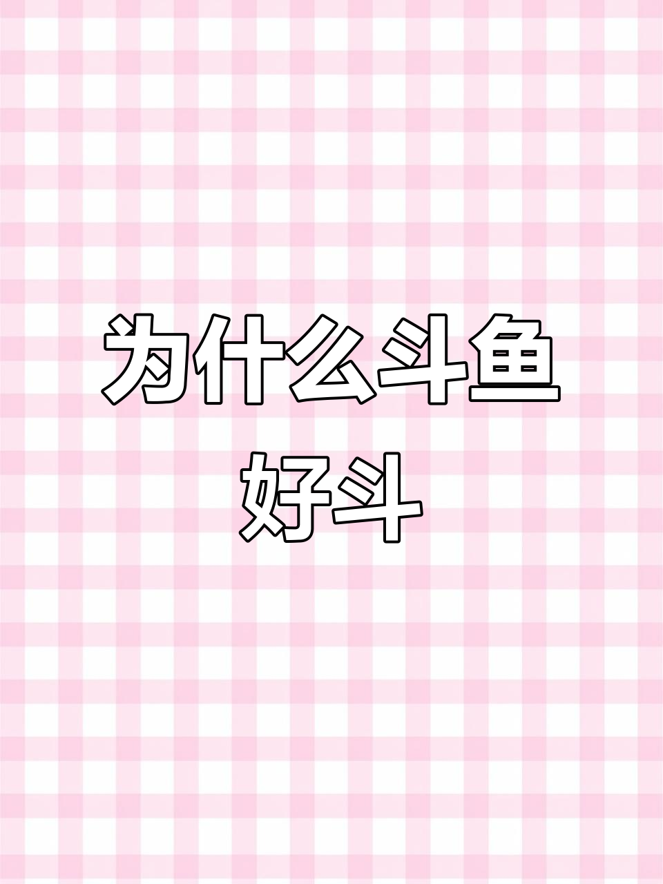 斗鱼为何爱打架?揭秘雄性斗鱼的独特魅力