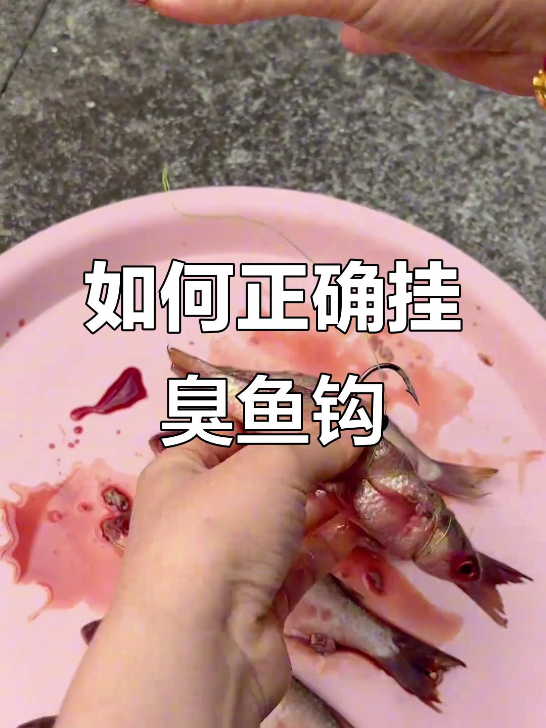 臭鱼挂钩技巧大揭秘,轻松钓鲶鱼!
