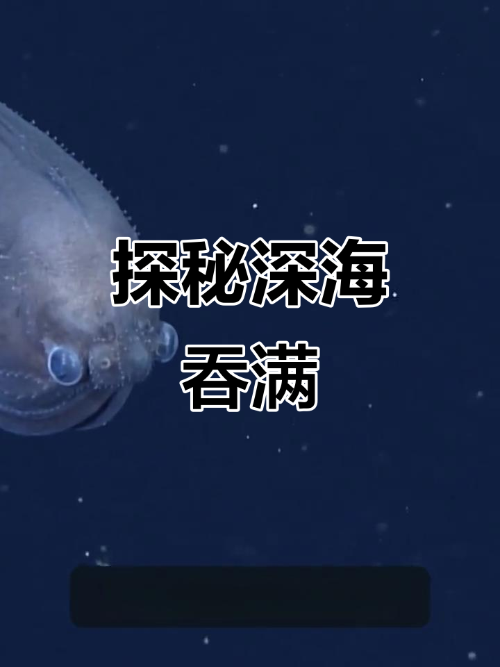 宽咽鱼:深海巨嘴捕食者,揭秘其独特生存技能