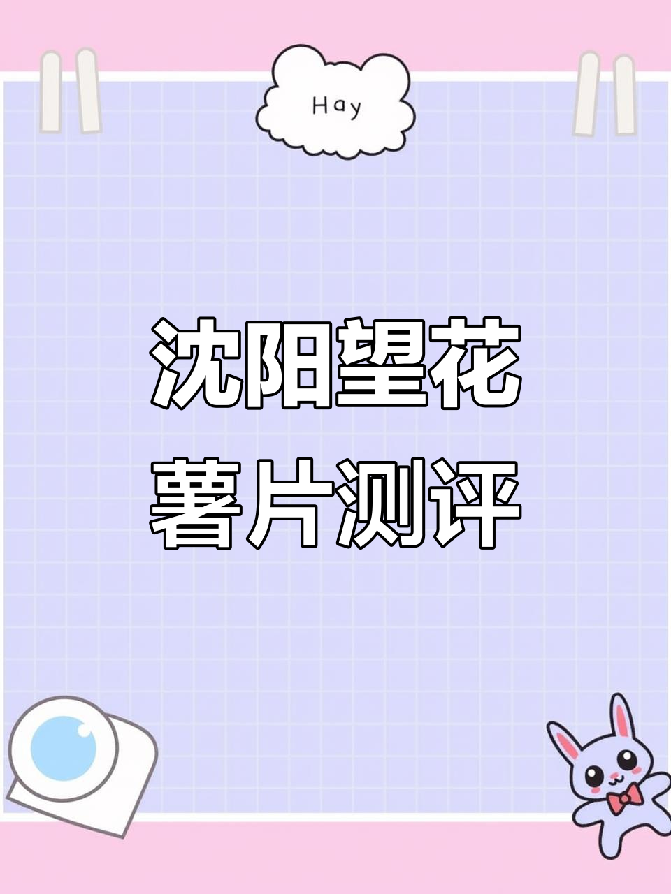 沈阳望花薯片与康家品牌大比拼,哪种口味更胜一筹?