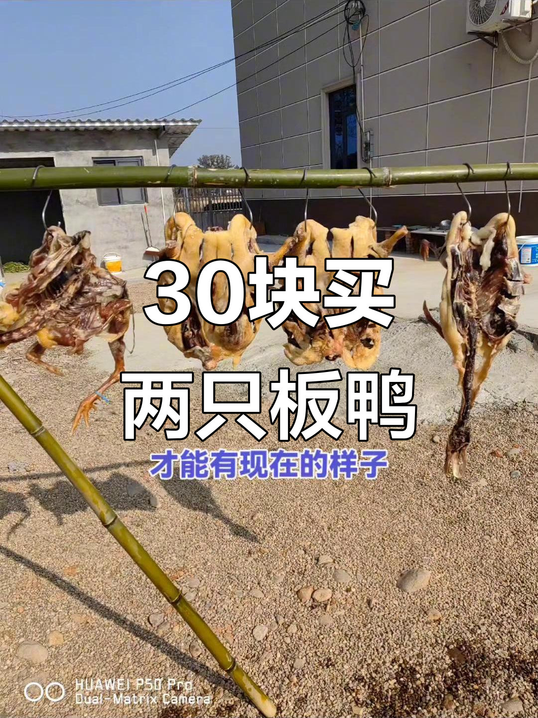 30元两只板鸭,制作过程竟然这么复杂!