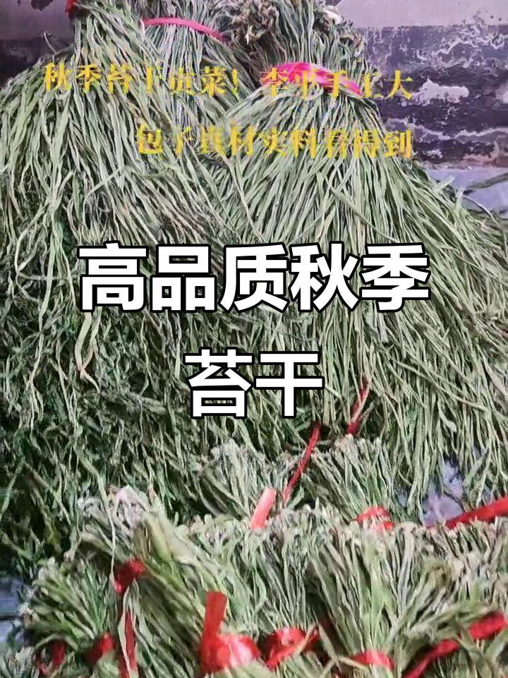 秋季新鲜苔干贡菜,质量上乘,提前预定更优惠