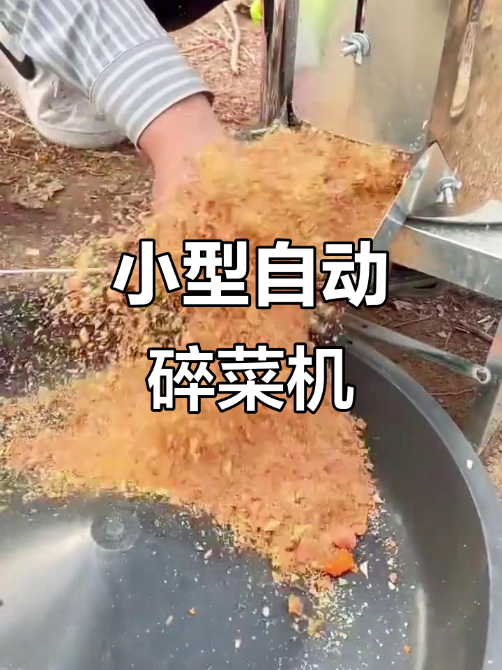 家用小型碎菜机,轻松打烂剩饭剩菜喂鸡