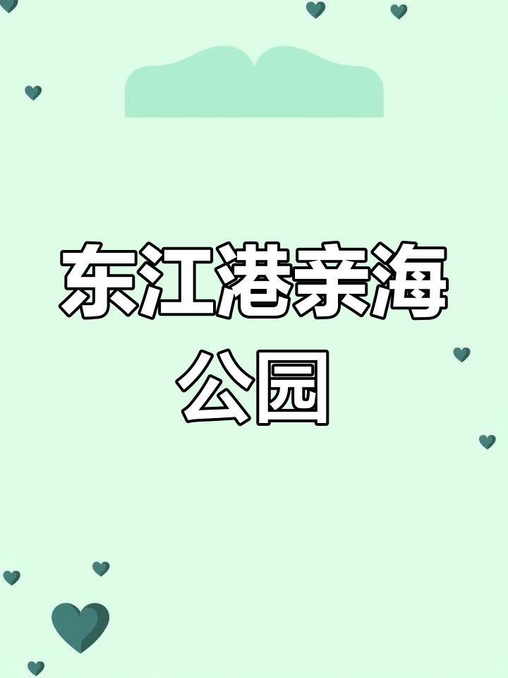 天津东疆港青海公园:免费喂海鸥,油酥烧饼必备