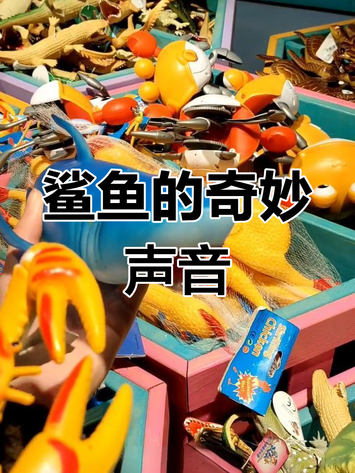 鲨鱼叫声揭秘,竟然是这样!