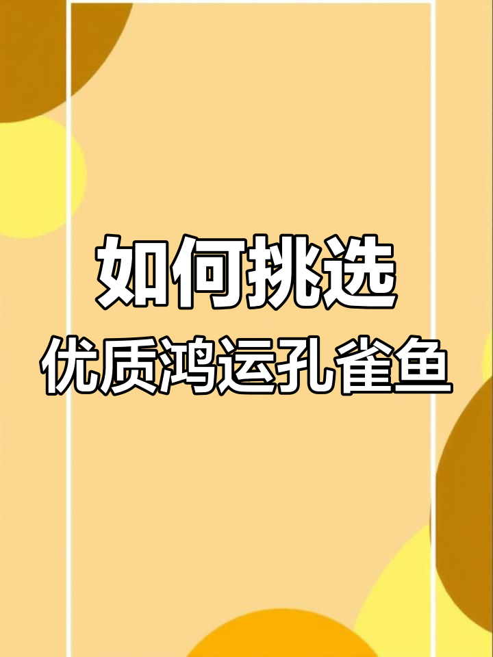 鸿运当头孔雀鱼品质如何判断?从身形到颜色全解析