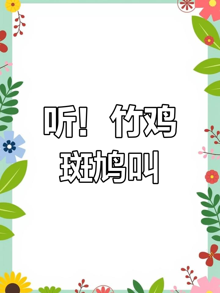 竹鸡、斑鸠与野鸡的叫声大比拼,保护野生动物从聆听开始
