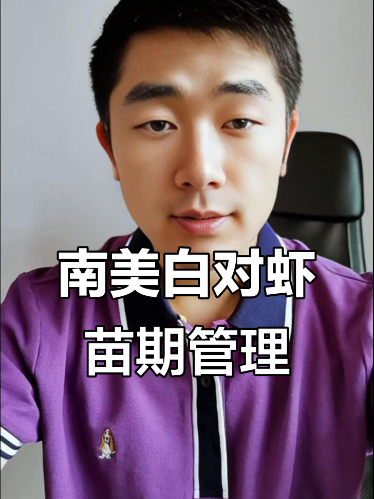 苗期管理决定南美白对虾存活率,如何避免掉苗?