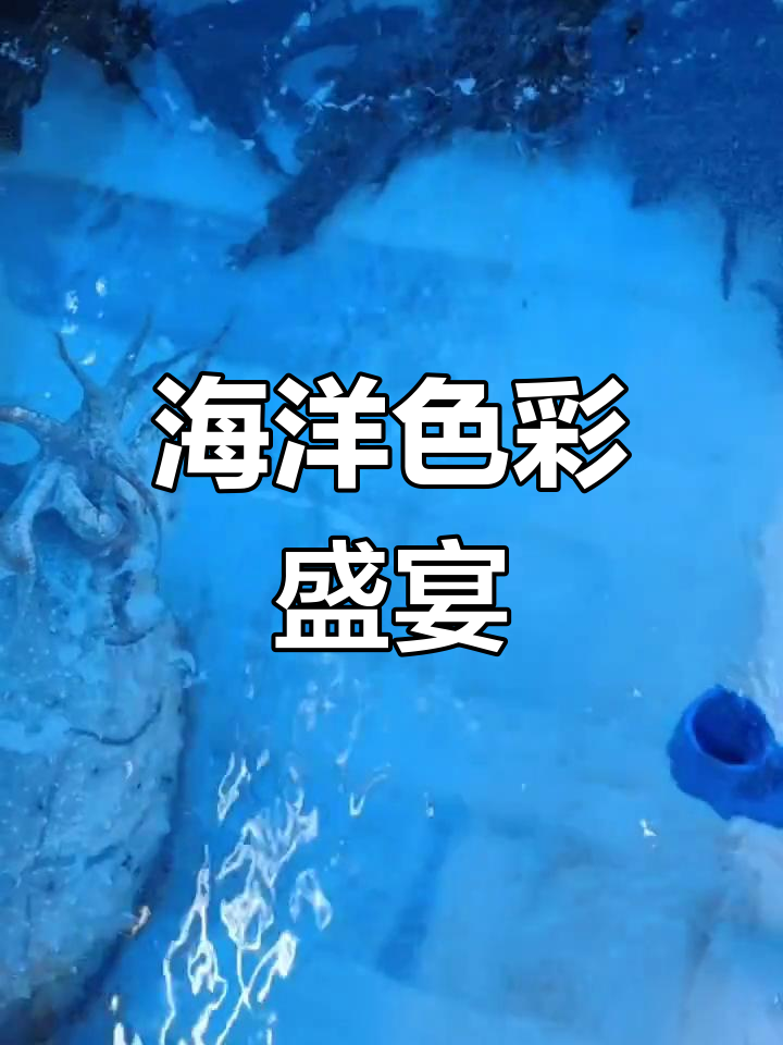 西沙群岛,五彩海洋鱼群尽显奇观