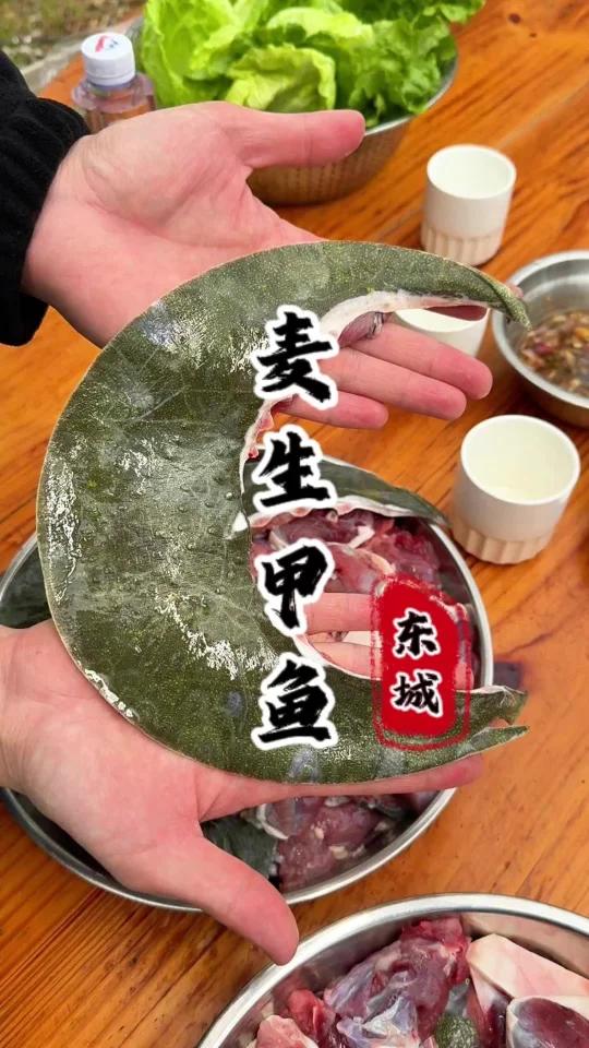 东莞甲鱼宴，鲜到舔壳！
