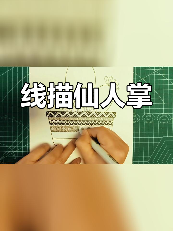 黑白线描画:仙人掌创作技巧