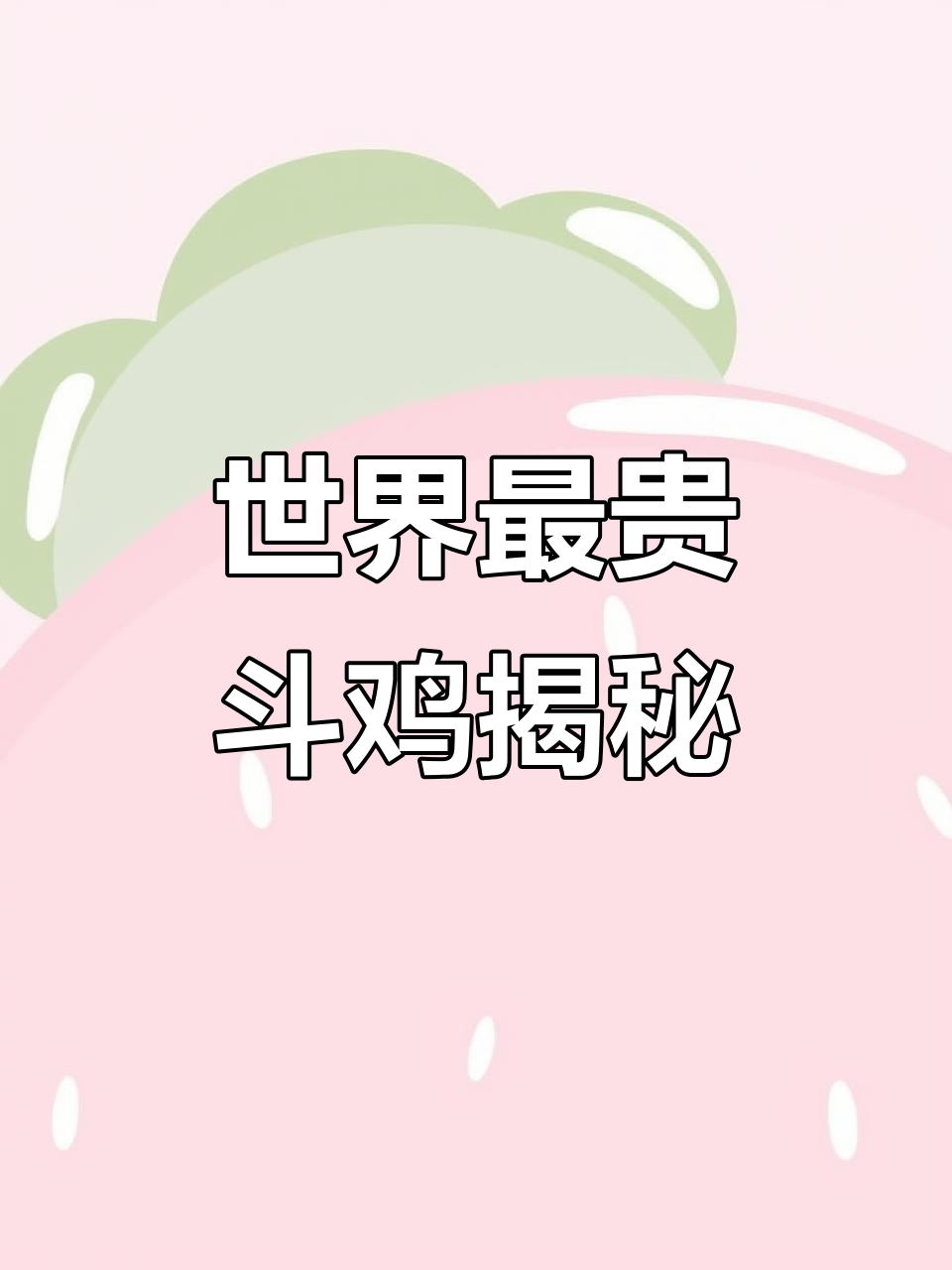 泰国斗鸡拍卖：最高价拍出千万，缅甸血统的“战斗机”