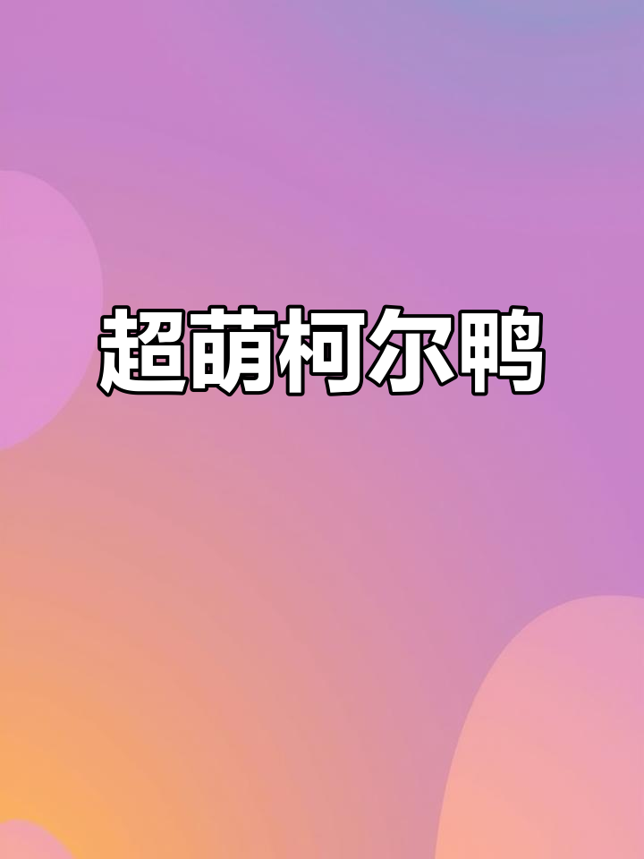 柯尔鸭:呆萌小巧,职场动物也能超粘人
