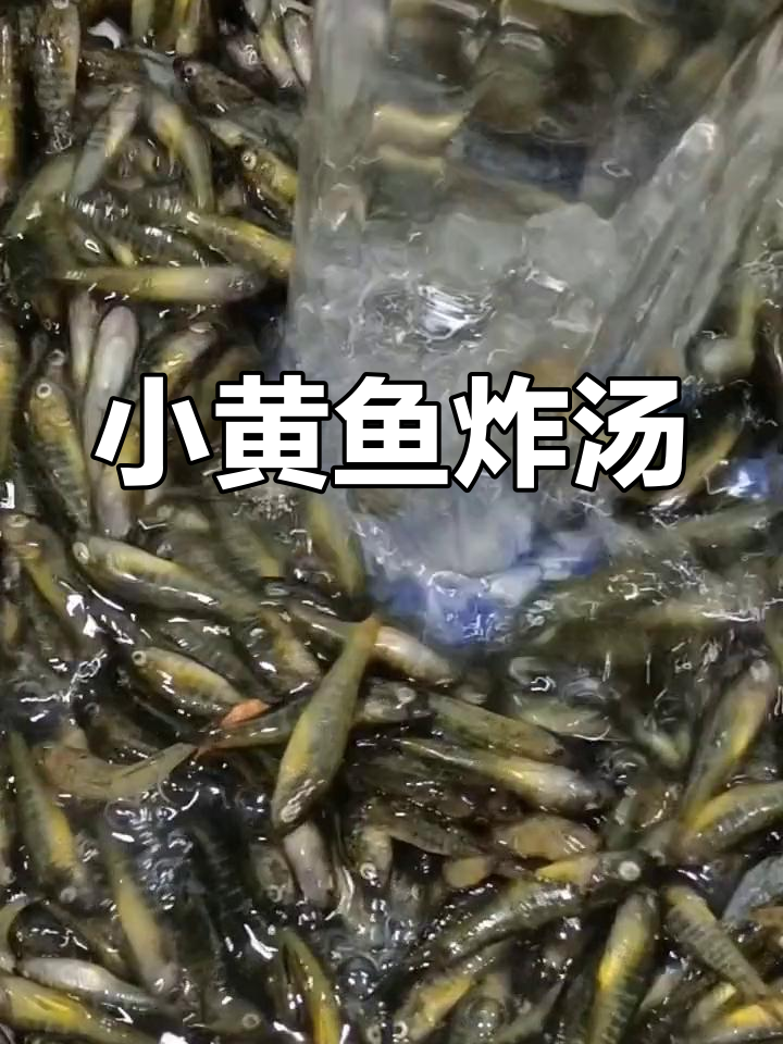 微山湖小黄鱼汤的家常做法