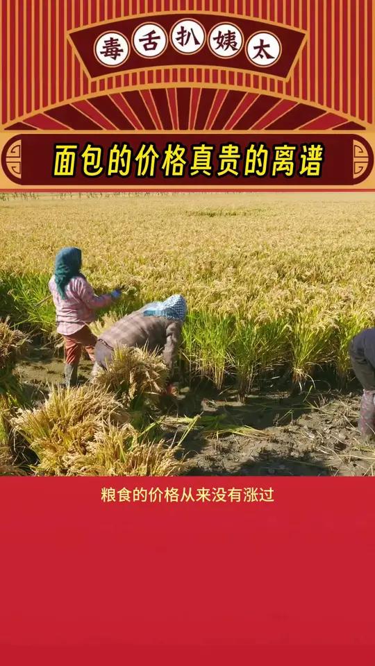 现在这面包的价格是认真的吗?面包 玉米 震惊 娱乐评论大赏