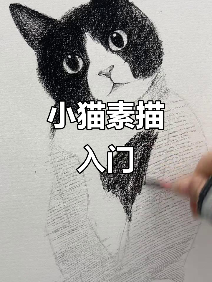 黑白小猫咪素描教程,轻松掌握歪头萌态