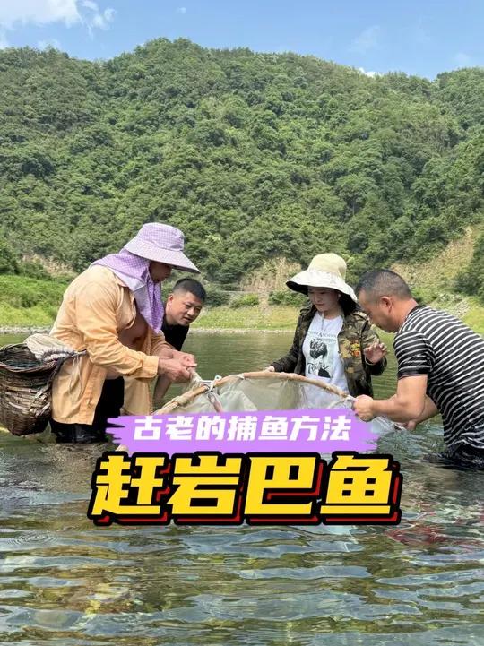 炎炎夏日,跟朋友去溪里赶岩巴鱼,重拾儿时的快乐。这种古老的捉鱼方法,你试过吗