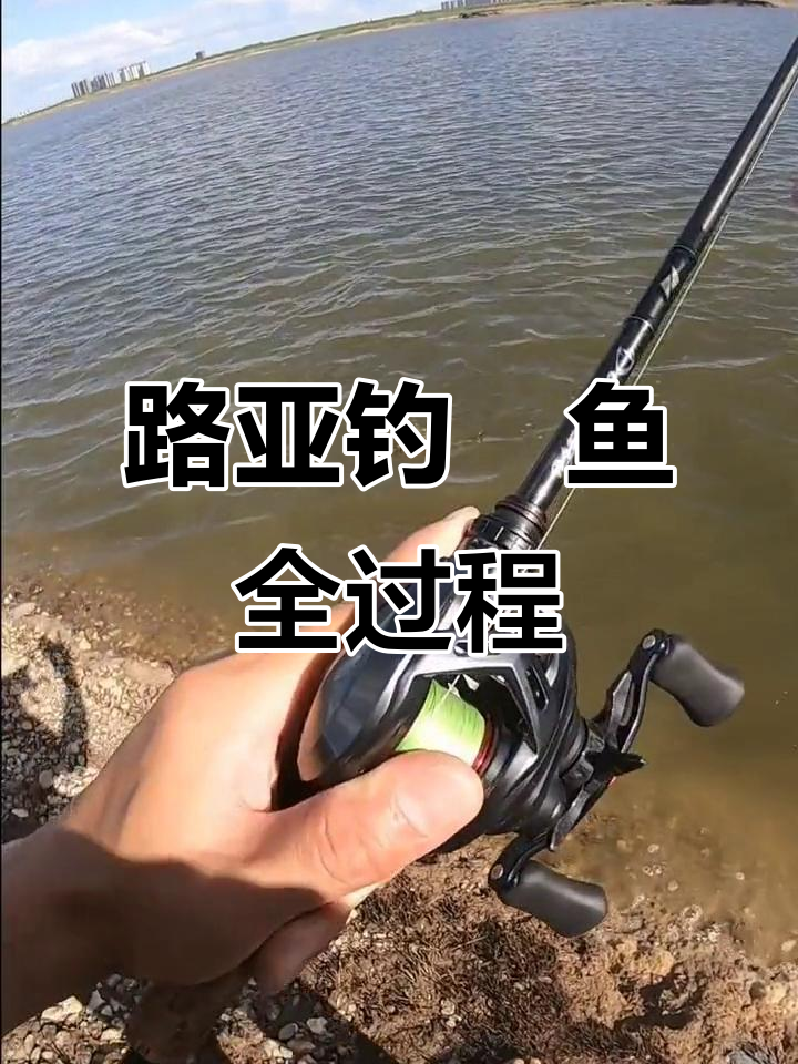 路亚鳡鱼全程大揭秘，挑战极限操作
