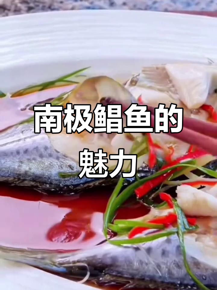 南极鲳鱼,肉质鲜美,无刺易消化,老少皆宜