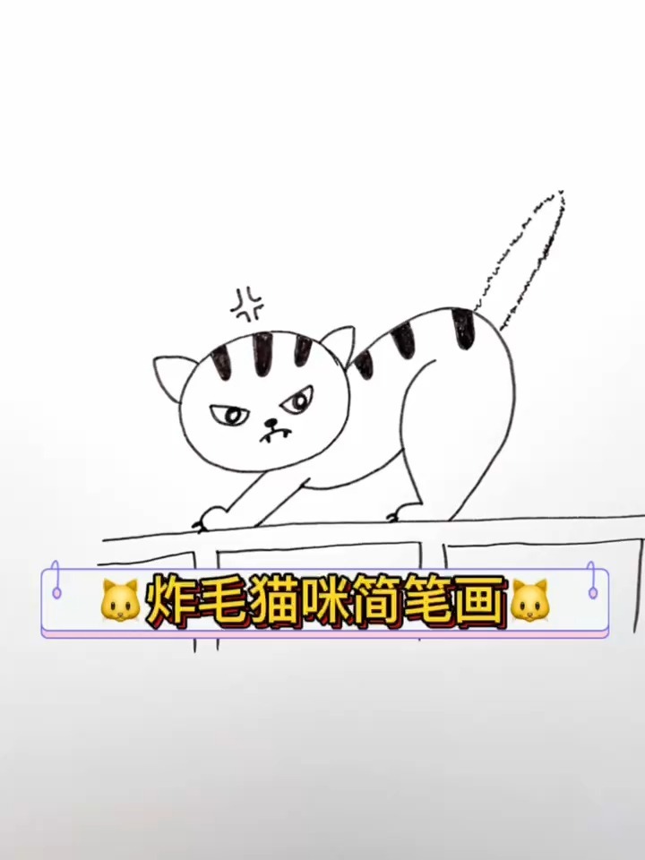 生气小猫咪简笔画,你家猫咪生气是这样的吗