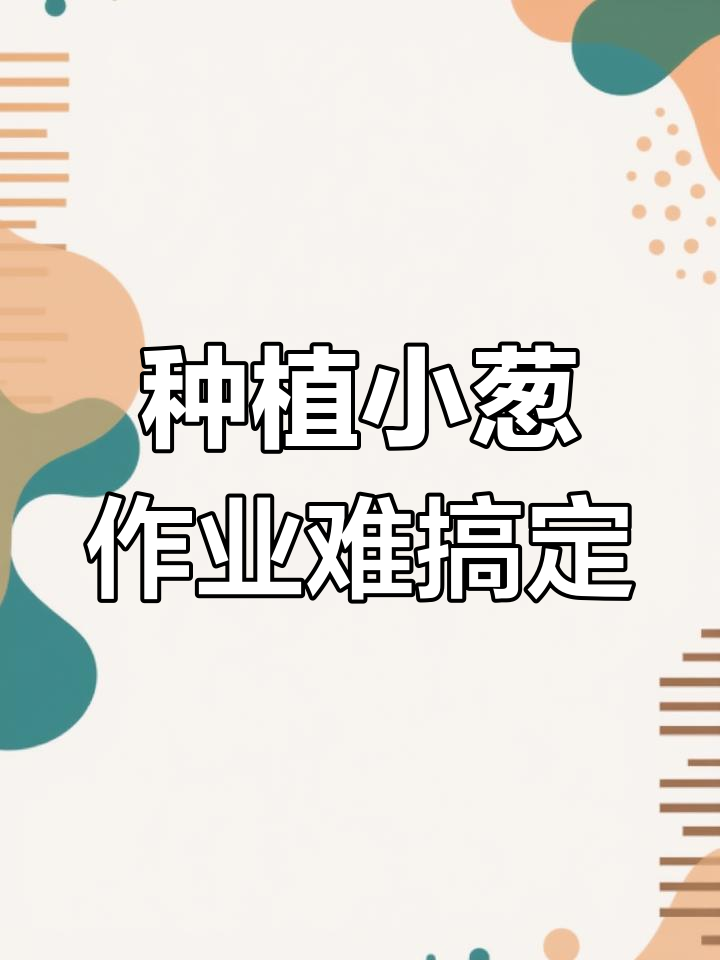 小葱种植顺利,手抄报作业让人头疼