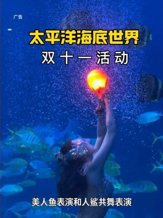 太平洋海底世界 门票+海狮原价190,双11活动价99元;双人门票原价300,双11活动价