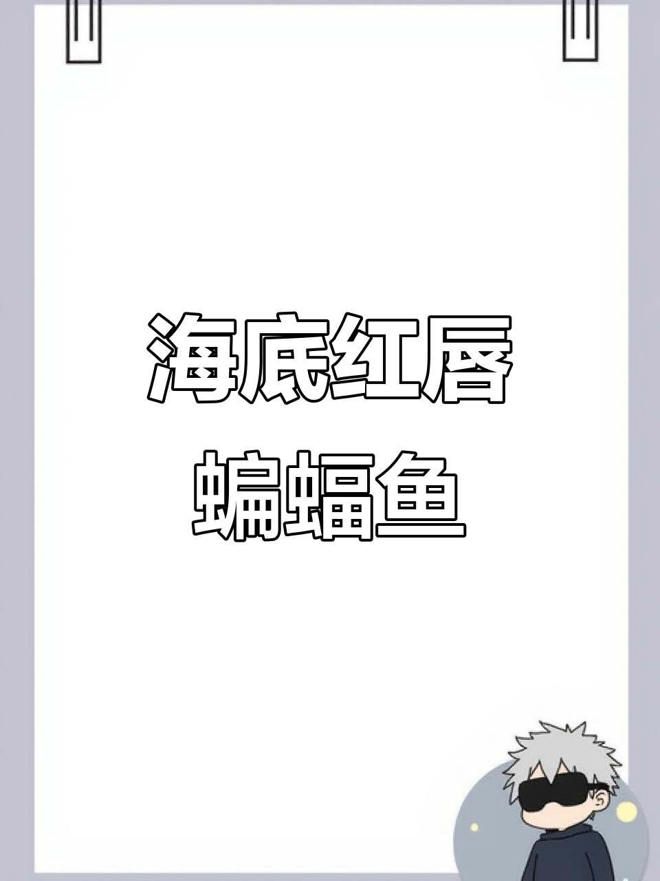 红唇蝙蝠鱼:海底爬行的神秘生物,探索加拉帕戈斯群岛的奇特物种