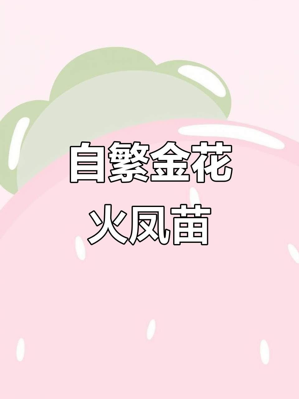 自家繁殖金花火凤苗,60天带头座,超萌观赏鱼来袭