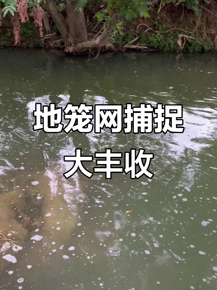 农村身无分文,如何用几张地笼网捕鱼?