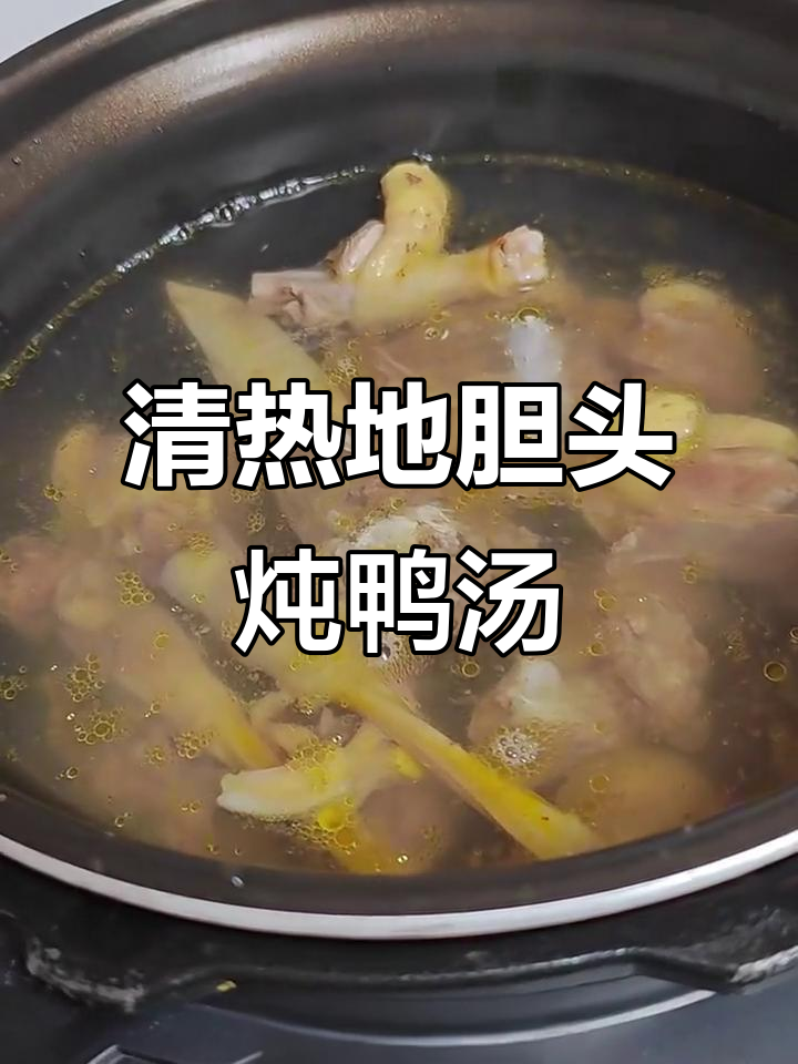 地胆头煲鸭汤,清热解毒又健脾祛湿