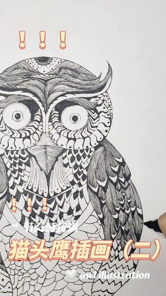 猫头鹰插画(二)