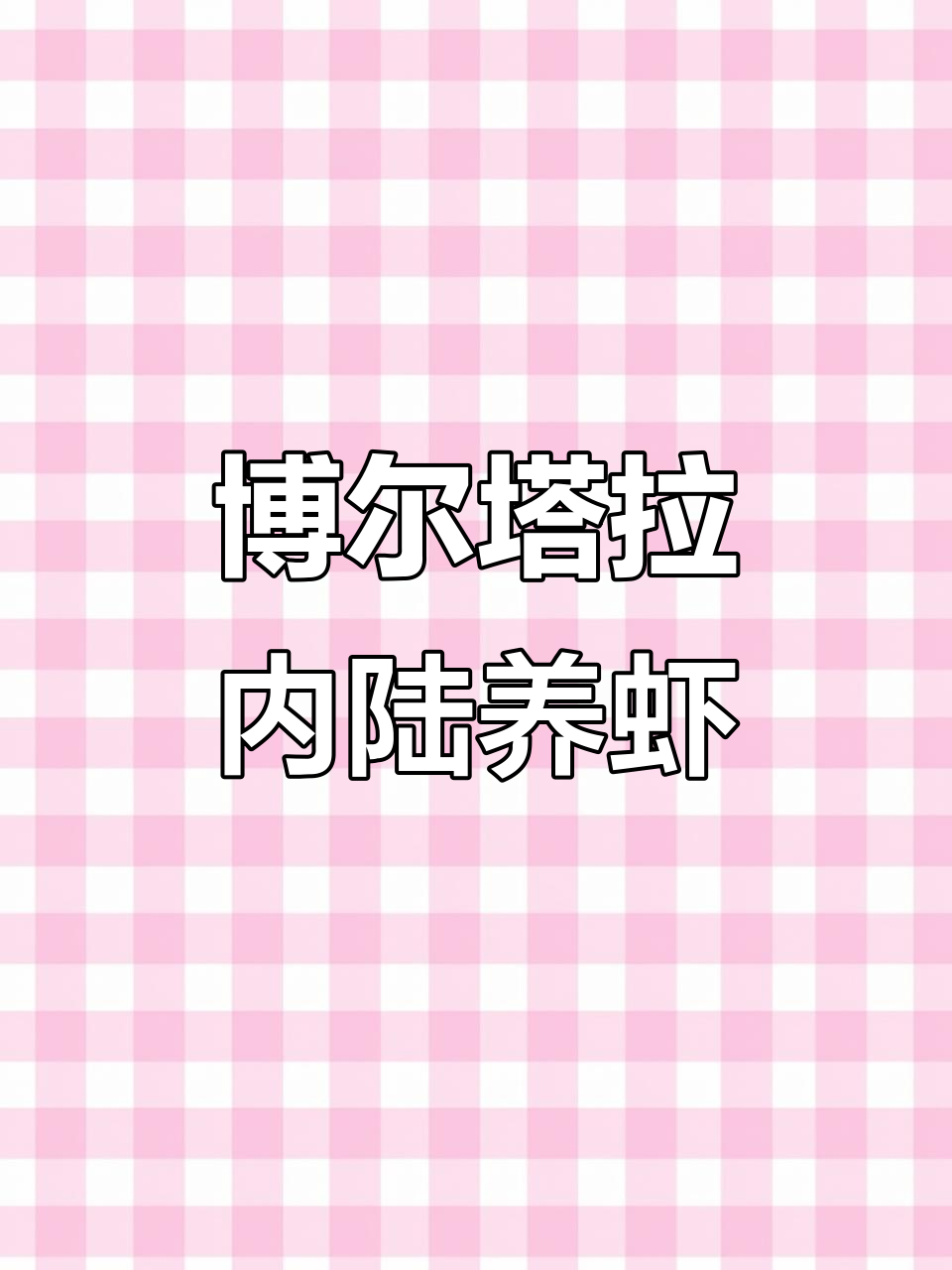 博州首个室内养殖南美白对虾，四季皆可上市