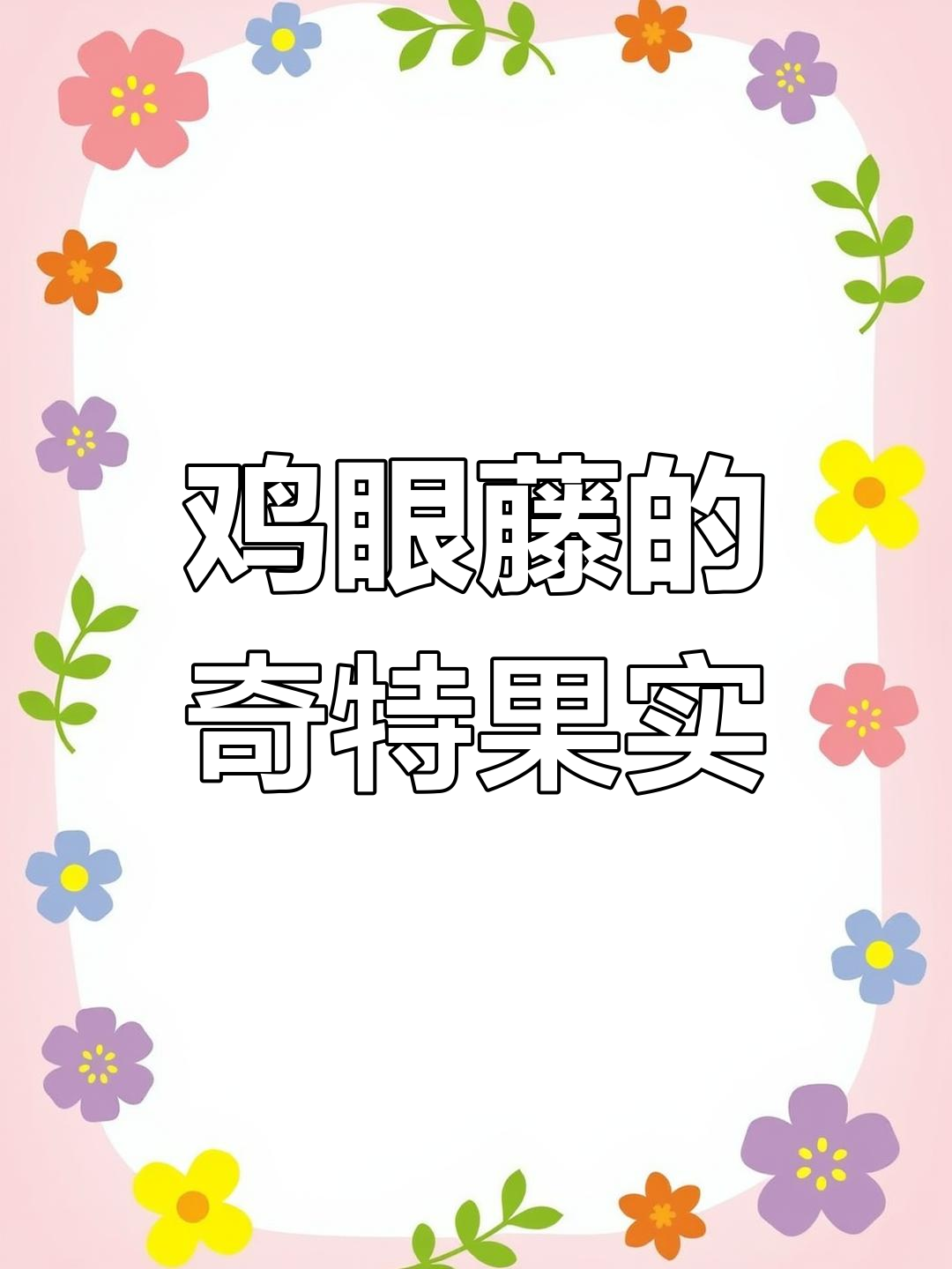 鸡眼藤:果实丑陋让人恶心,但价值却不容忽视