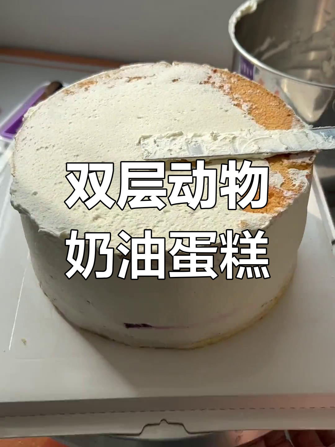 轻松学做双层简约奶油蛋糕