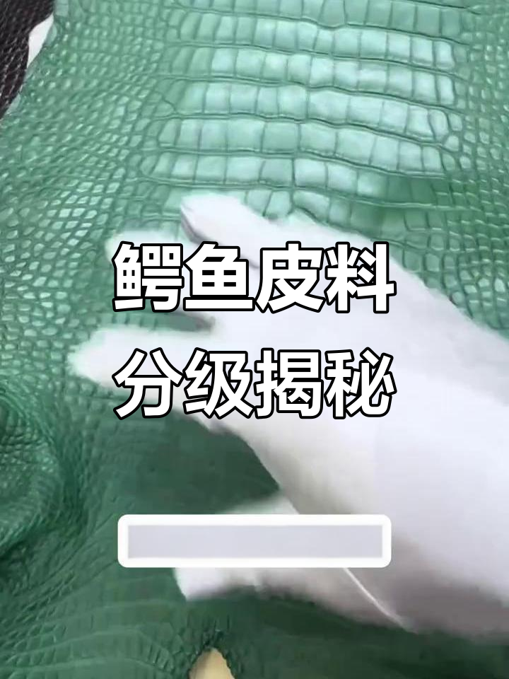 鳄鱼皮料等级划分详解:从一级到五级全解析